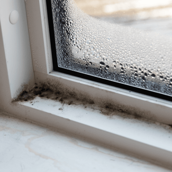 Window with condensation and mold issues